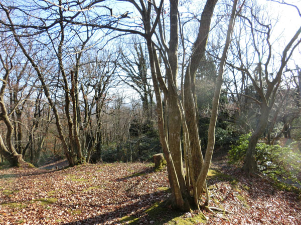 e0131399_23164374.jpg