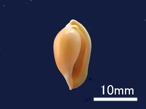 b0168000_22302029.jpg