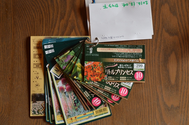 秋の仕込み苗…2016_c0124100_10515332.jpg