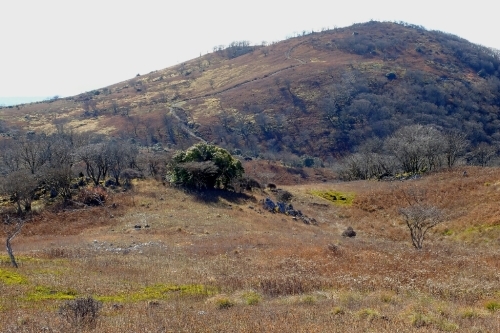 e0304001_20531881.jpg