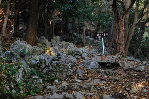 e0304001_20532484.jpg