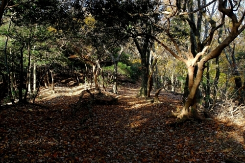 e0304001_20532945.jpg