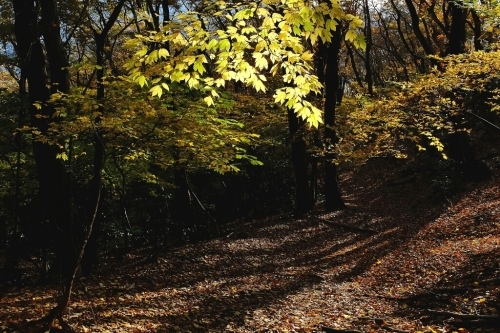 e0304001_21063485.jpg