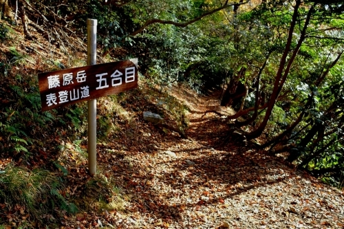 e0304001_21063685.jpg