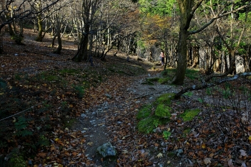 e0304001_21064831.jpg