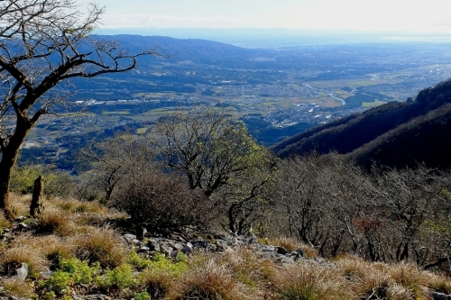 e0304001_21065028.jpg