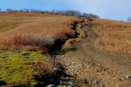e0304001_21141041.jpg