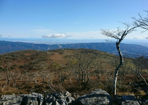 e0304001_21141319.jpg