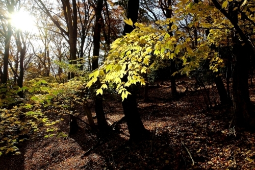 e0304001_21204375.jpg