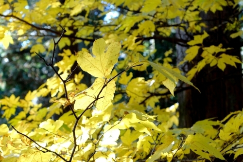 e0304001_21204501.jpg