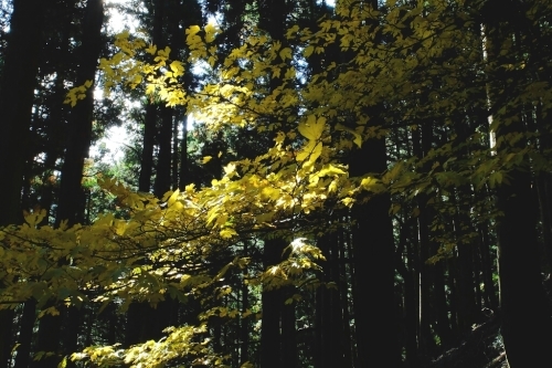 e0304001_21204697.jpg