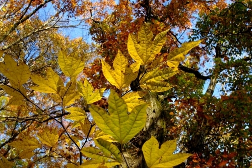 e0304001_21204841.jpg