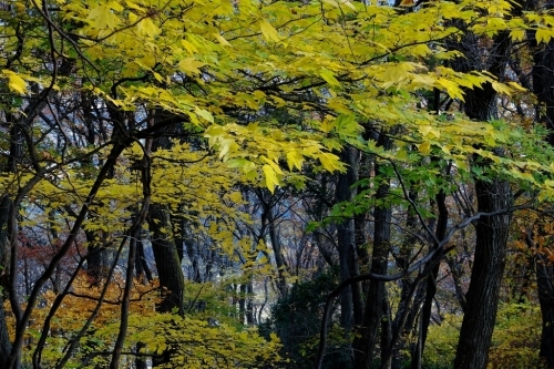 e0304001_21205079.jpg
