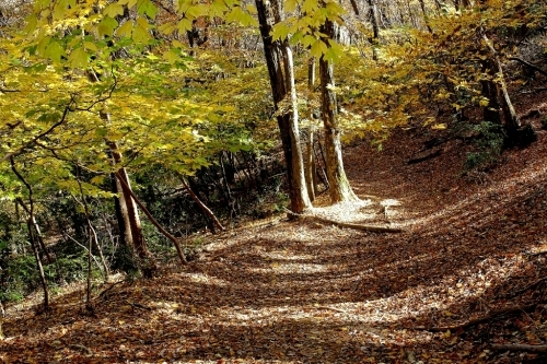 e0304001_21224596.jpg