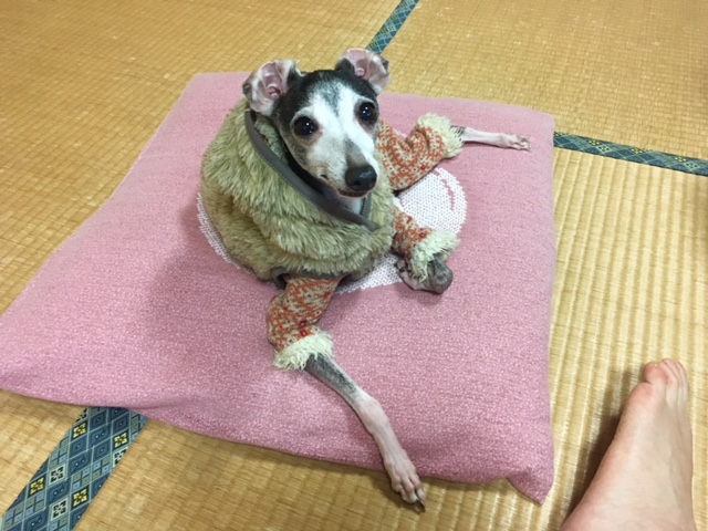 大人の旅は蟹のためだけに。_a0050302_1232115.jpg