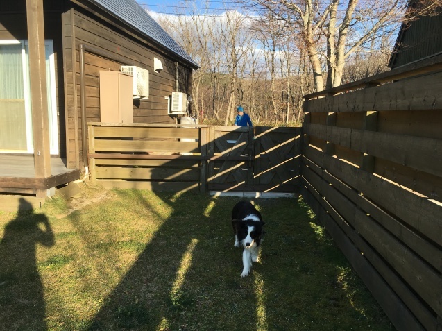 f0034602_05420358.jpeg