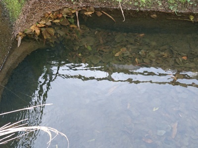f0082402_20303116.jpg