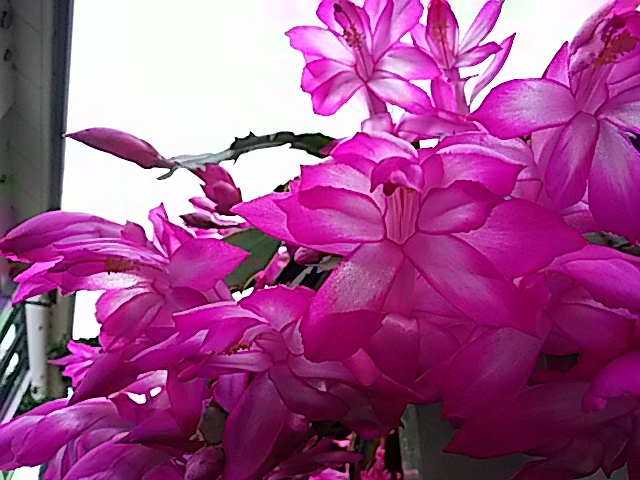 f0231709_20411172.jpg