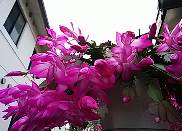 f0231709_2044423.png