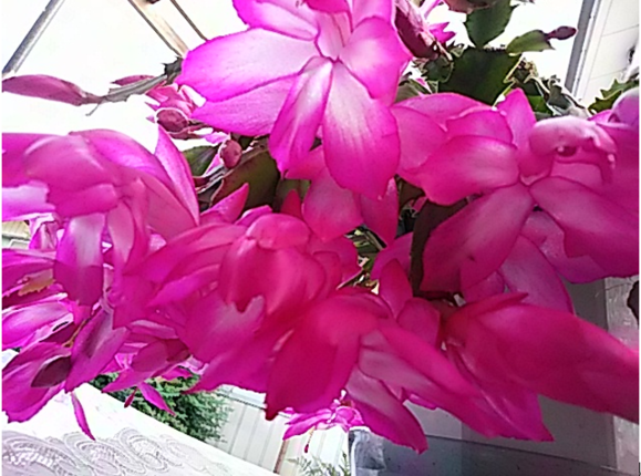 f0231709_2193821.png
