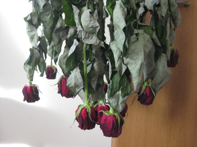 b0183111_10024856.jpg