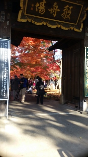 <紅葉>_d0191211_11264962.jpg