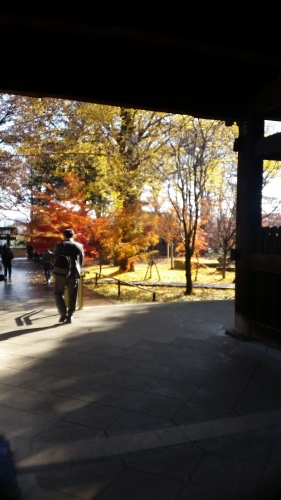 <紅葉>_d0191211_11275548.jpg