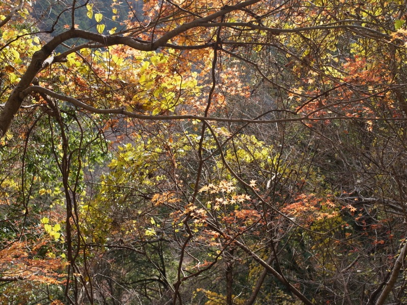e0276411_2220456.jpg