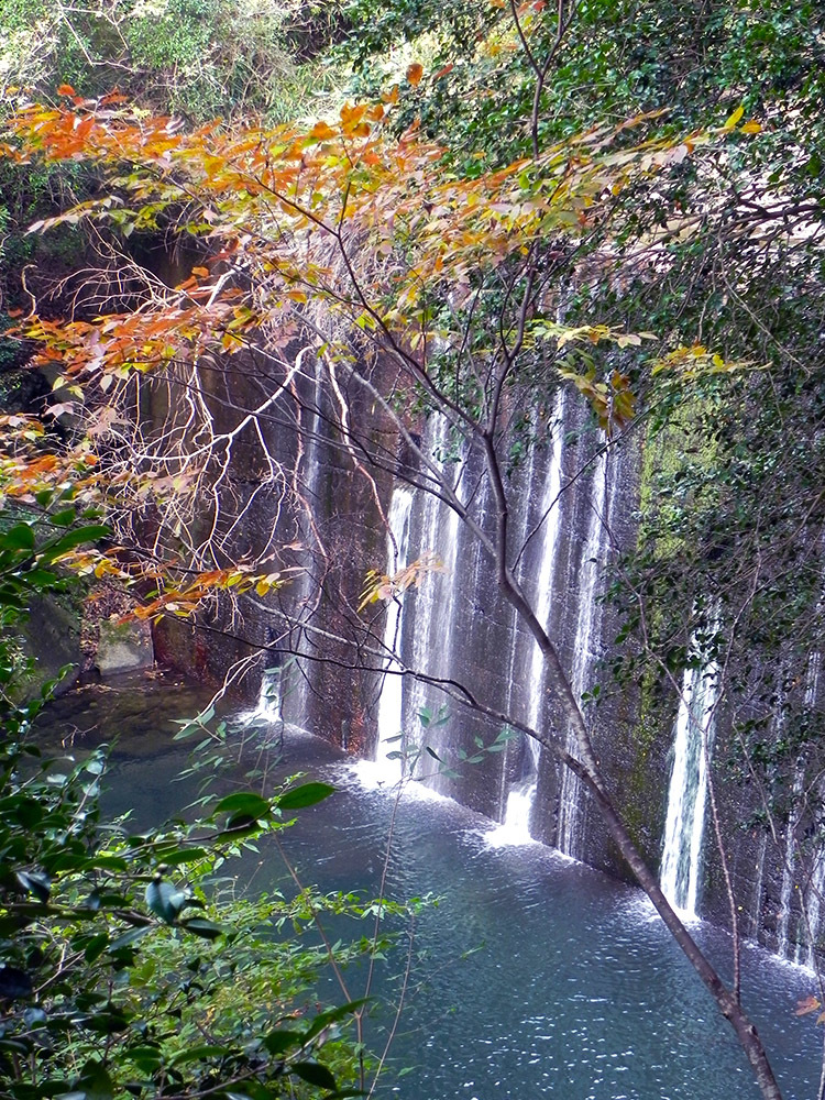 b0182613_12551319.jpg