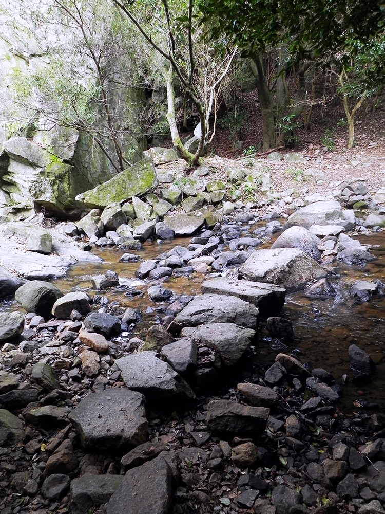 b0182613_12553177.jpg