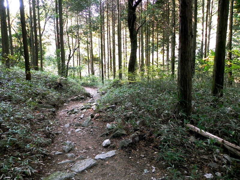 b0182613_13062434.jpg
