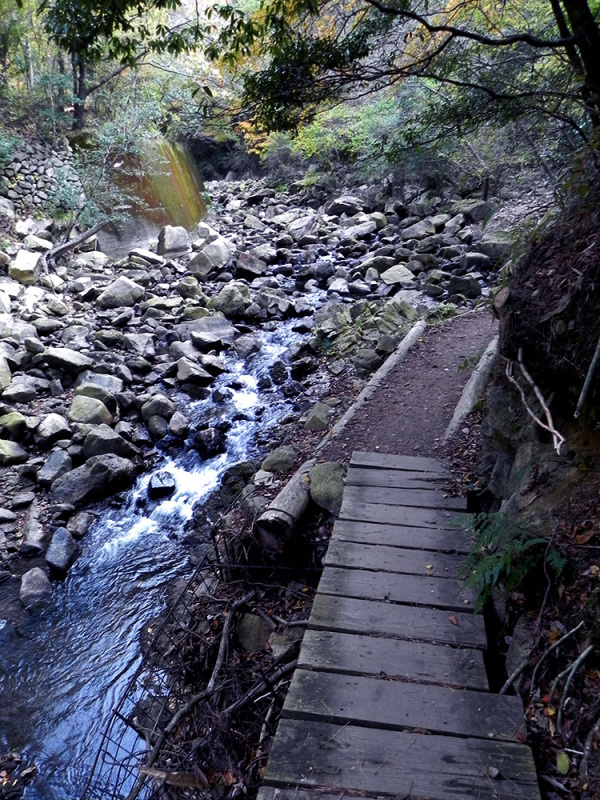 b0182613_13064103.jpg