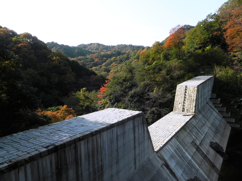 b0182613_13080647.jpg