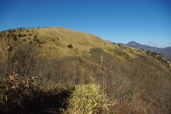 d0341514_07161596.jpg