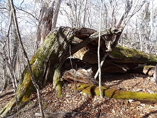 f0360815_15260846.jpg