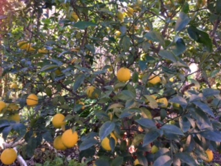 c0152816_2238233.jpg