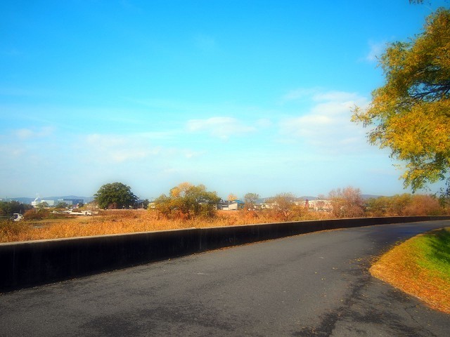 d0295818_16233495.jpg