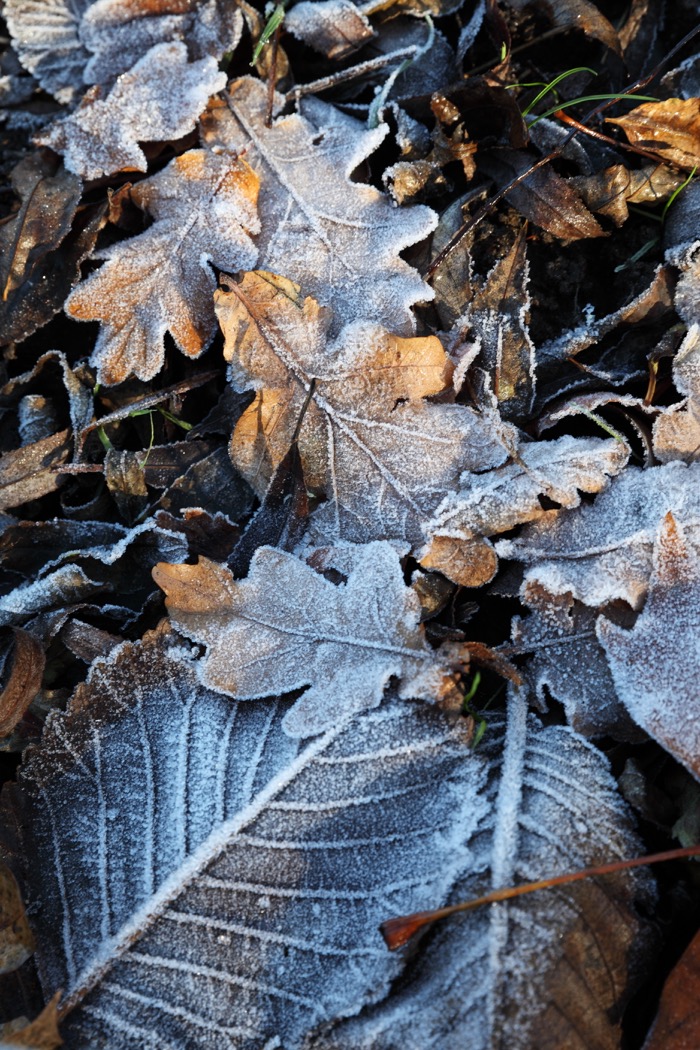 c0249519_3205388.jpg