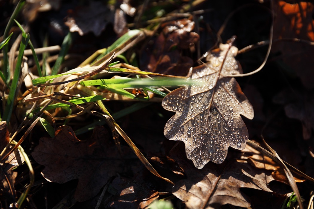 c0249519_3211587.jpg