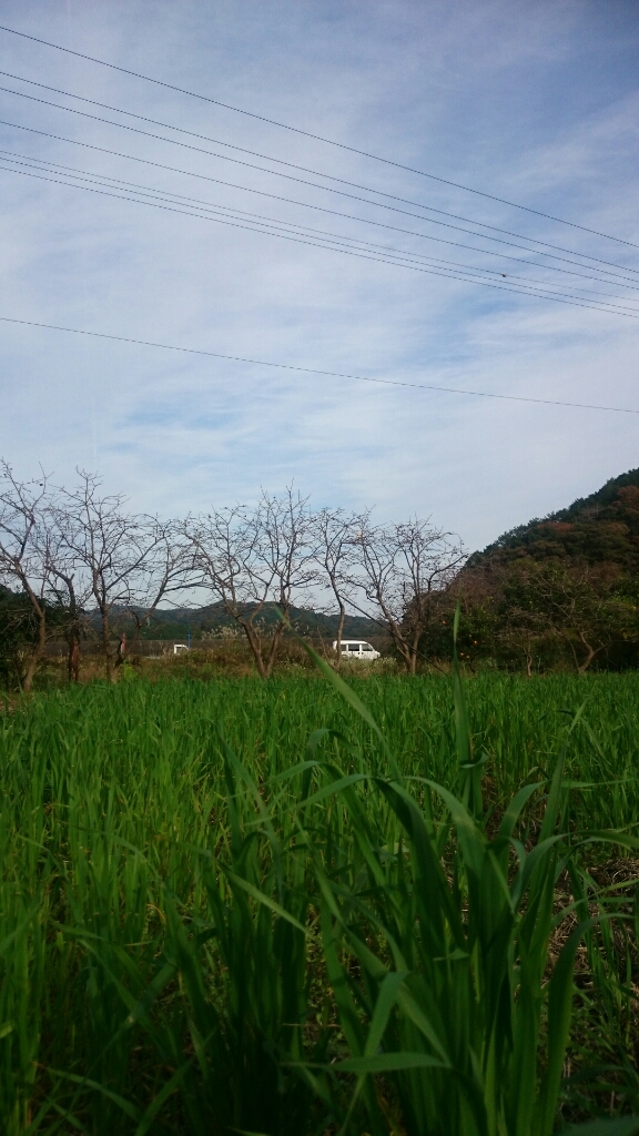 b0187620_18575367.jpg