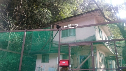b0187620_19220637.jpg