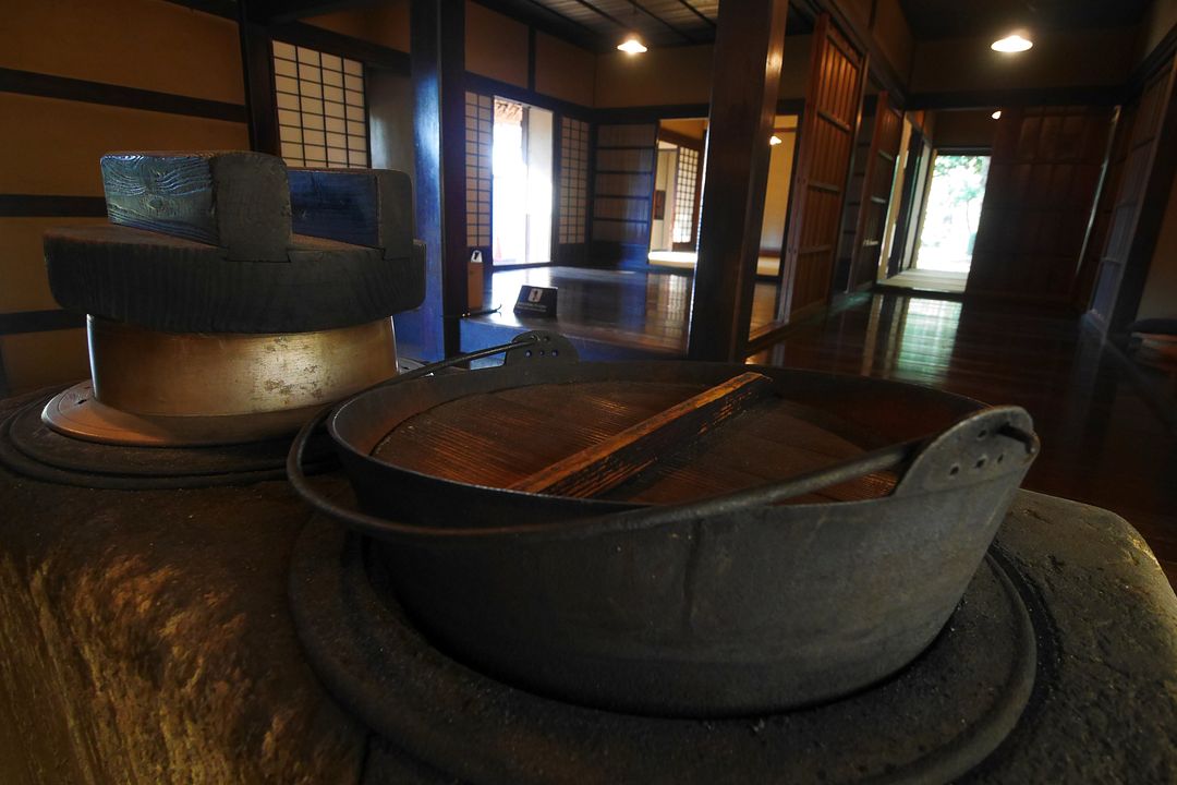 江戸東京たてもの園（２）・・・なかなか手強い被写体ばかり_a0031821_7362127.jpg