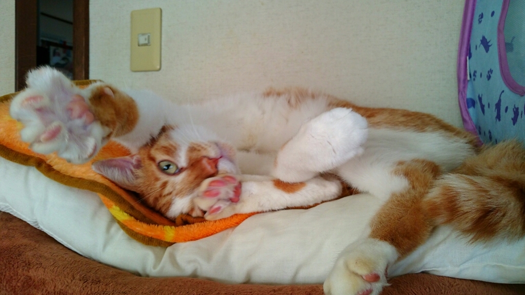 b0251624_20131666.jpg