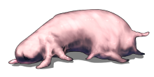 b0280224_19485877.png