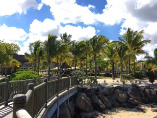 b0363924_03104760.jpg