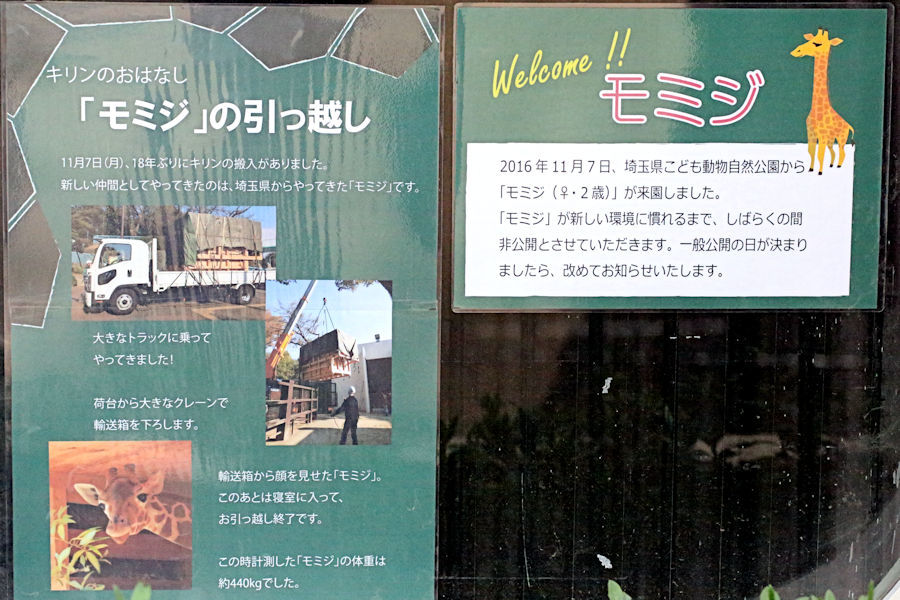 f0224624_08551904.jpg