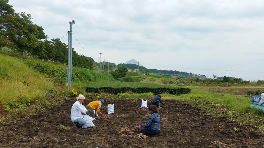 スイートポテトタルト_d0180425_19381725.jpg