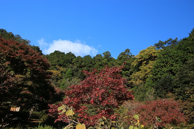 e0321325_17582016.jpg