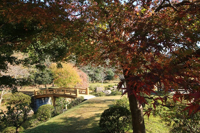 e0321325_1814324.jpg