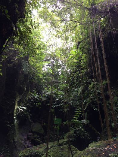 トゥカッ・チュプンの滝へ行ってみました。その2 \"Jalan2 ke Air Terjun Tukad Cepung II”_a0120328_18560362.jpg